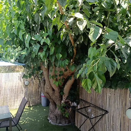 M&m House Ханья