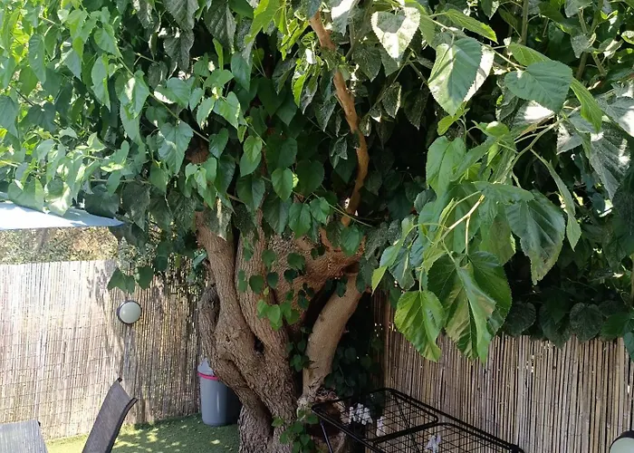 M&m House Chania (Crete)